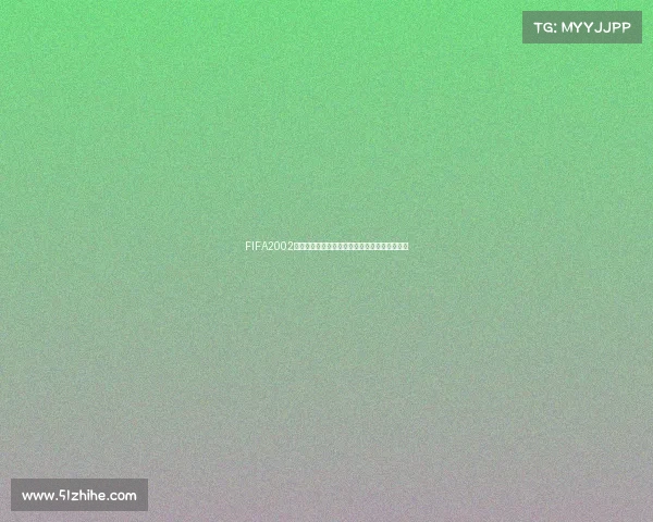 FIFA2002世界杯比赛赛制与对战方式全面解析规则流程析